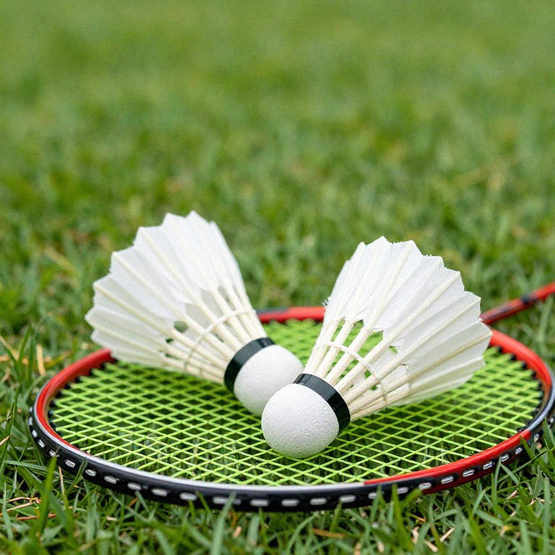 Sindhu reaches the French Open 2026 final: the An Se Young problem and a ten-match losing run