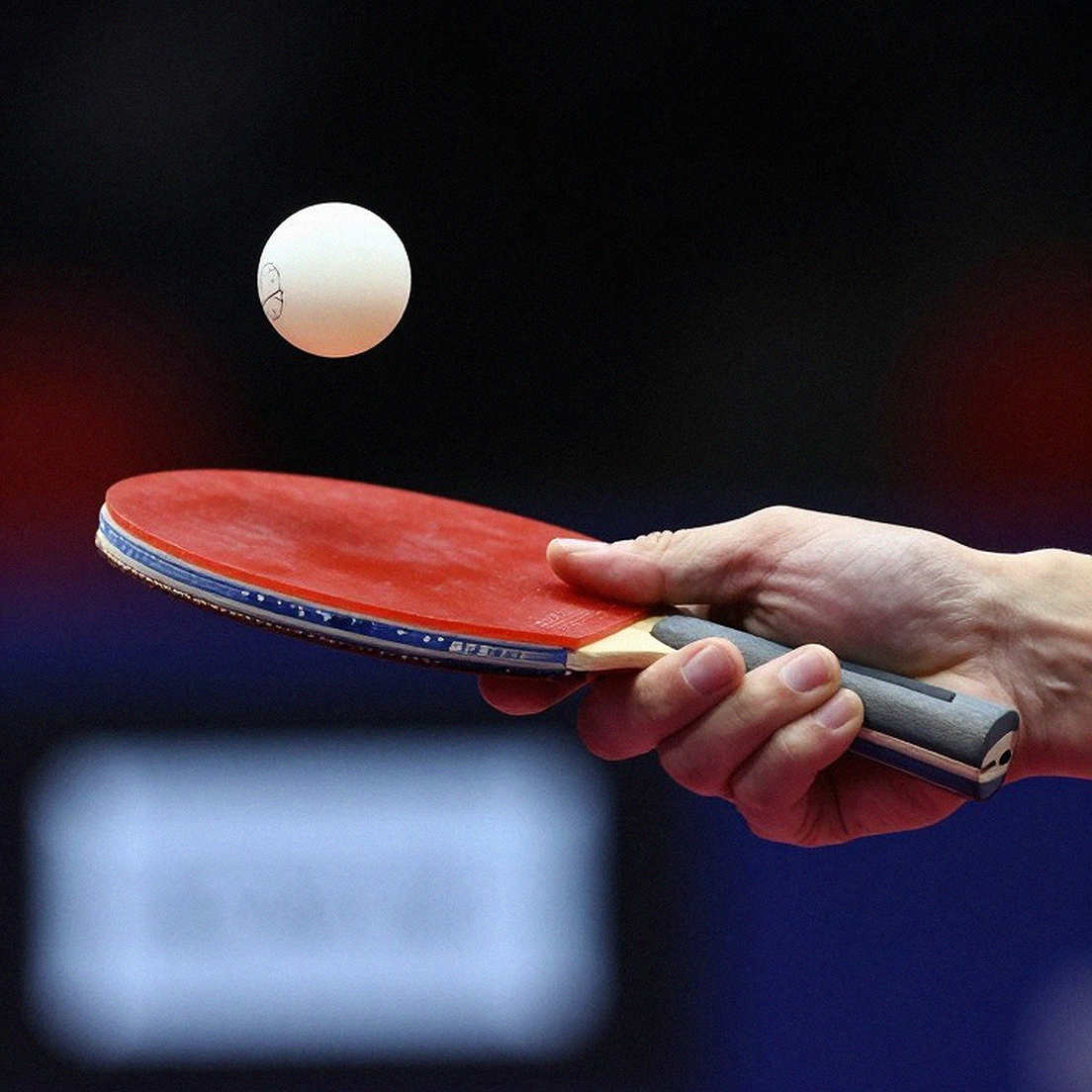 Sheffield đón World Hopes Week 2026: 40 đứa trẻ, hai nhà vô địch và một ván cờ dài hơi của bóng bàn Anh Sheffield đón World Hopes Week 2026: 40 đứa trẻ, hai nhà vô địch và một ván cờ dài hơi của bóng bàn Anh