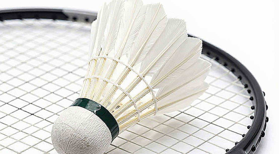 Sindhu Beats Akechi in Three Games, Meets An Se Young in the 2026 French Open Final