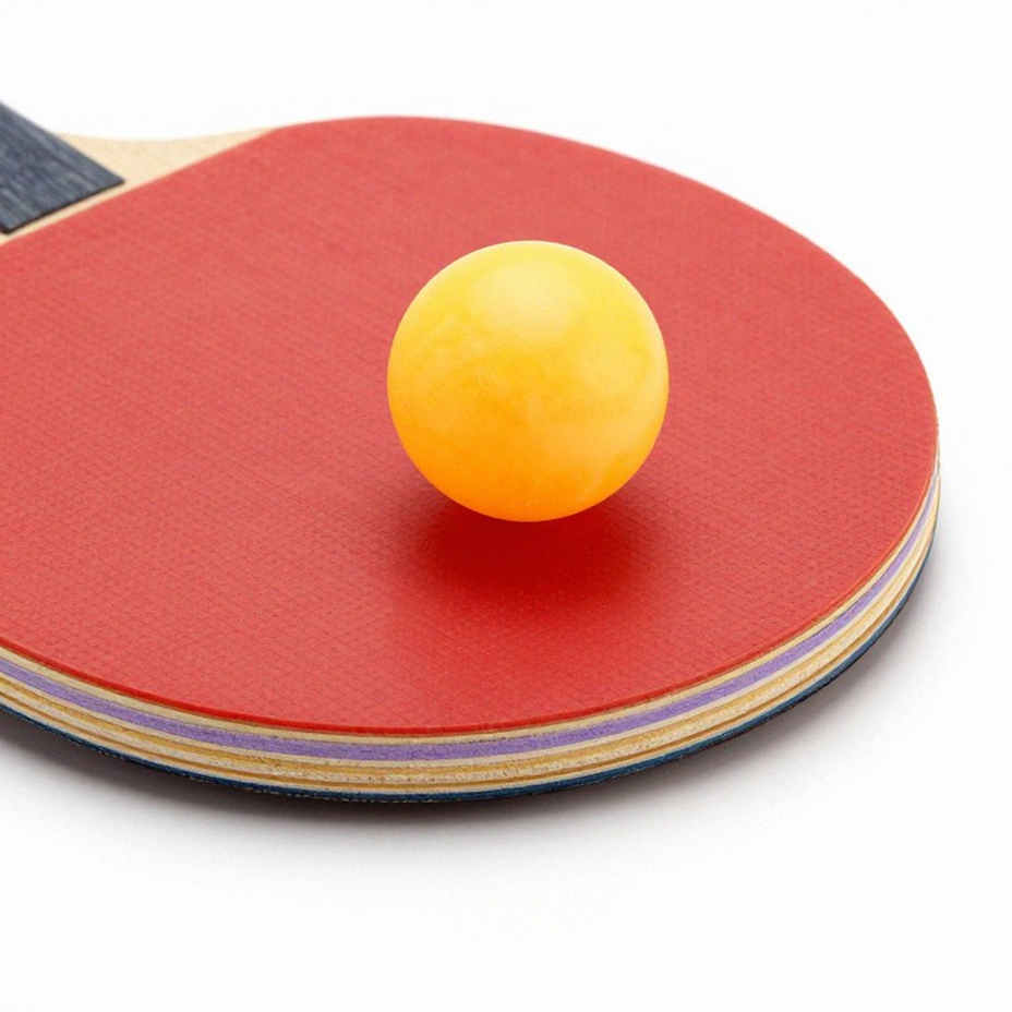 English Table Tennis Funds Its Roots With Member Fees: When the Base Is Treated as Strategy